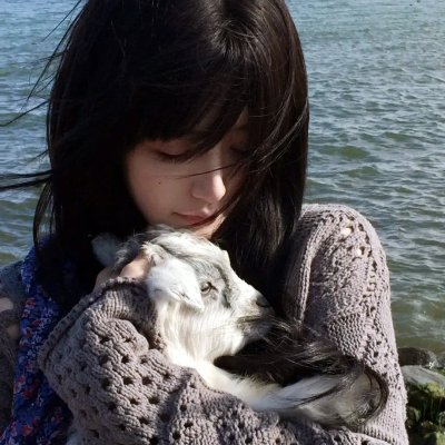 猎捕游戏